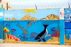 The Wall